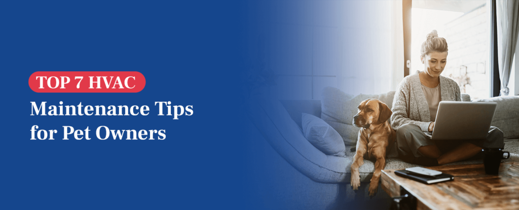 Top 7 Maintenance Tips for Pet Owners