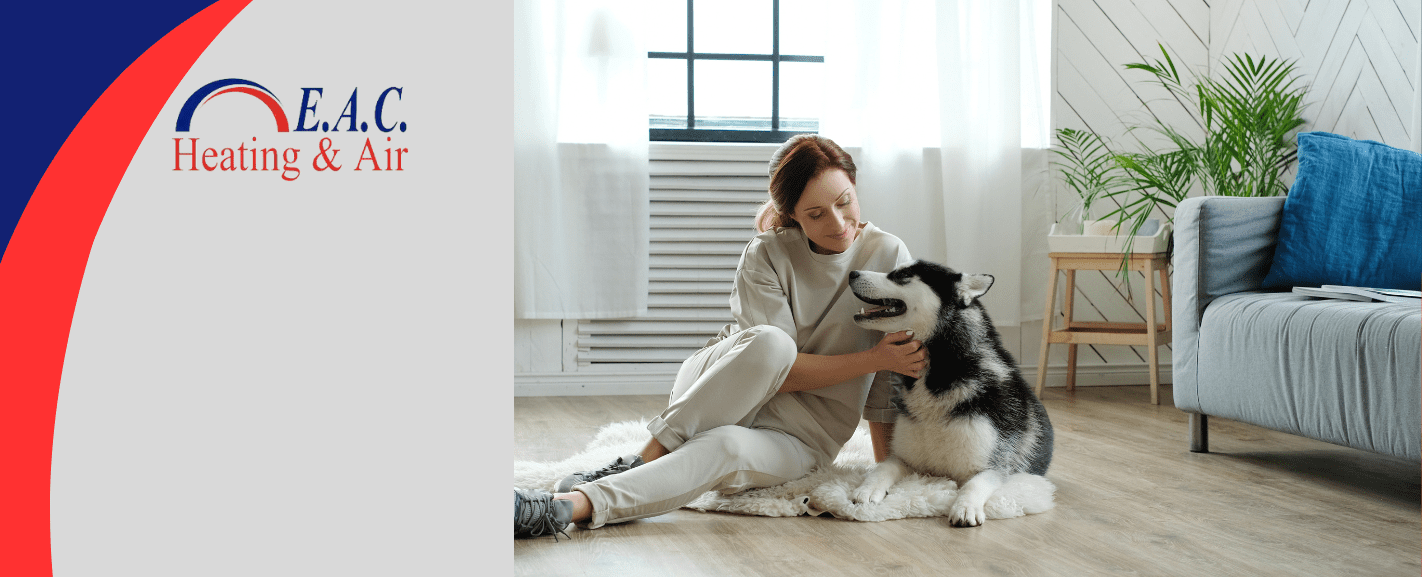 how to improve air quality in your home when you have pets